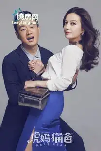 虎妈猫爸剧照