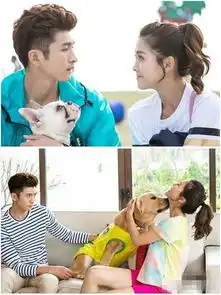 神犬小七2的女主秒变谢依霖,是吃错药了吗