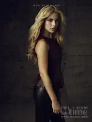 吸血鬼日记vampirediaries电视系列剧
