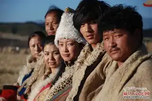藏族爱情影片想念你的秋天呼唤自由爱情婚姻
