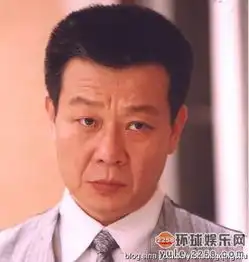 陈坤陆毅周迅李小冉像雾像雨又像风主演现状