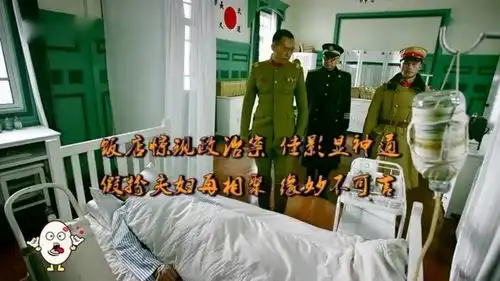 和平饭店第七集,假扮夫妇再相聚,缘妙不可言