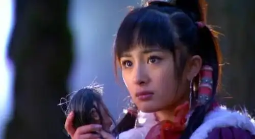 倚天后传之明教复仇第二十六章汝阳旧府重相逢章节2
