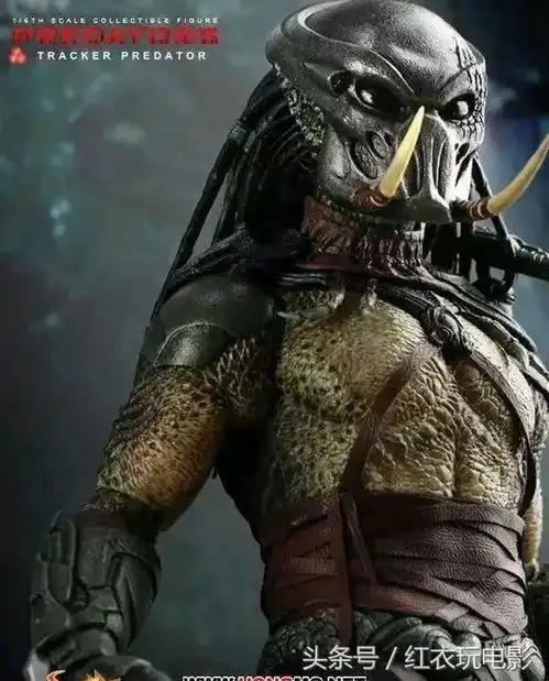 铁血出征寸草不生