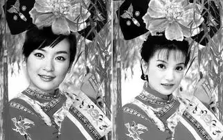 新版小燕子被指年龄造假背景资料遭揭秘
