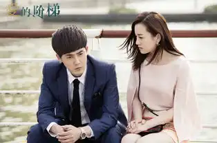 江苏卫视爱的阶梯热播
