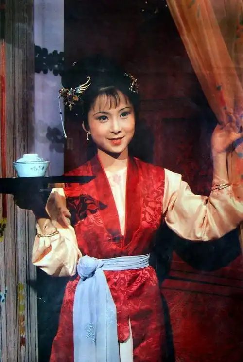 红楼梦里性格与林黛玉最相似之人,虽是丫鬟但为人绝不低三下四
