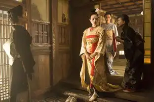 章子怡饰演的艺伎回忆录剧照多图
