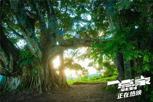 取景地来自云南普洱热映电影一点就到家曝光绝美风景剧照