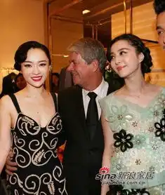 范冰冰与霍思燕在外籍高层面前争宠