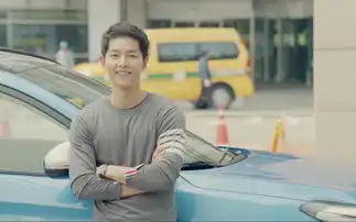 贵的羊毛衫不起球别天真了
