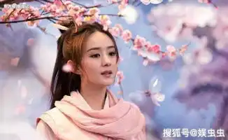 金婚赵丽颖佟多多剧照文
