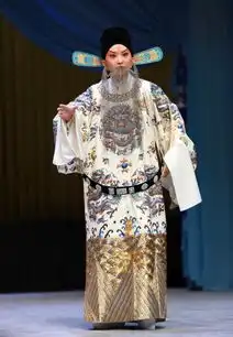 参加综艺节目,拍短视频王佩瑜如何让京剧出圈
