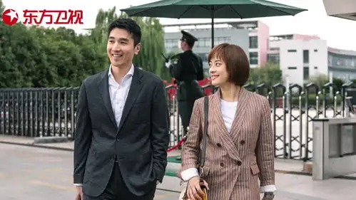 赵又廷孙俪的表演很高级