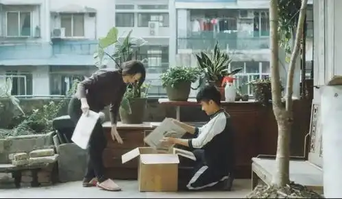 这篇北影节攻略,影迷必读