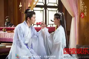 孤芳不自赏播放破10亿台词揭露背后深意
