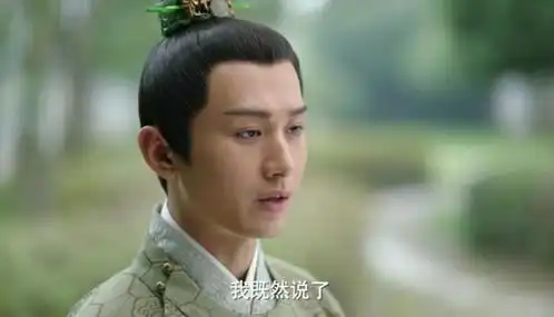 长安诺茗玉逃出皇宫,差一点他们就得到了幸福