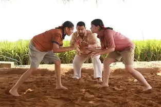 内地票房银护2轻松夺冠摔爸口碑爆棚
