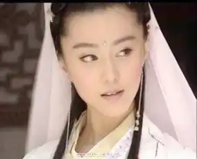 这是少年包青天范冰冰哪集的剧照