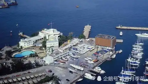向华强不止拍电影赚钱,家族给香港游艇提供泊位,每月入账1个亿
