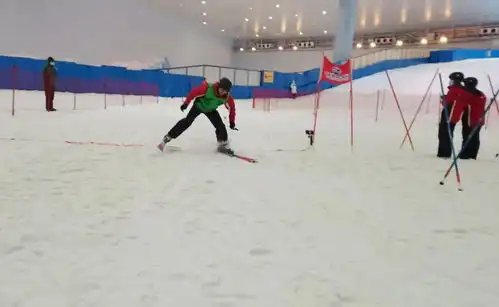 3金5银4铜迷你滑雪比赛重庆代表队获好成绩
