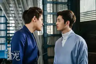 降龙之白露为霜今在搜狐上线开播张朝阳将打盗版进行到底