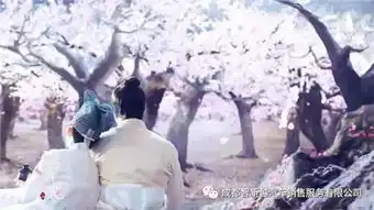 智新越五菱宝骏
