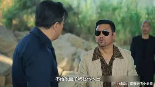 高启强独闯龙潭,京海最强大佬也有别人牵着走的一幕