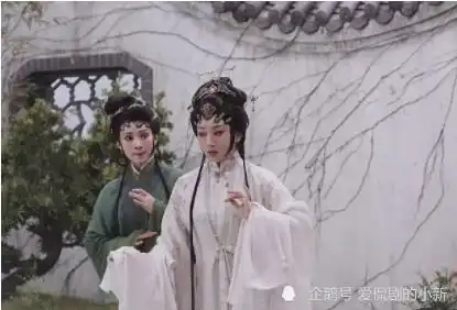 继黄磊为戏剧出头后,这部评分碾压速9的电影,找到国粹新的出路