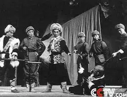 cctv.com八小众电影
