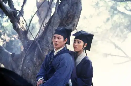 cdsx透映i中国电影夜东方不败
