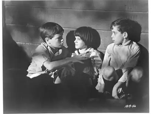 杀死一只知更鸟虽然已经失败了一百年,但仍会为正义而执着
