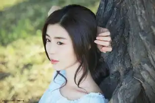 夏有乔木雅望天堂卢杉
