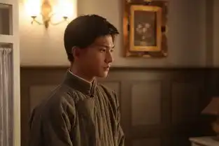 我家强攻洋曾演过的戏
