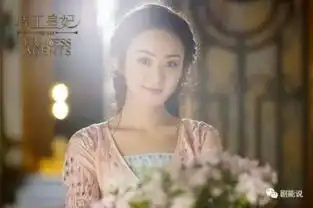 三生三世十里桃花欢乐颂2择天记2017大剧播出时间