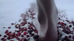 小a的拼贴向日葵世界sunflowerworld读城纪492试验田mood花漾和风猫橙
