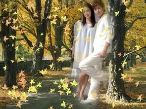 放羊的星星图片
