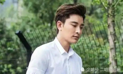 王子文承认未婚生子,孩子生父引猜测,贾乃亮正面回应到此为止