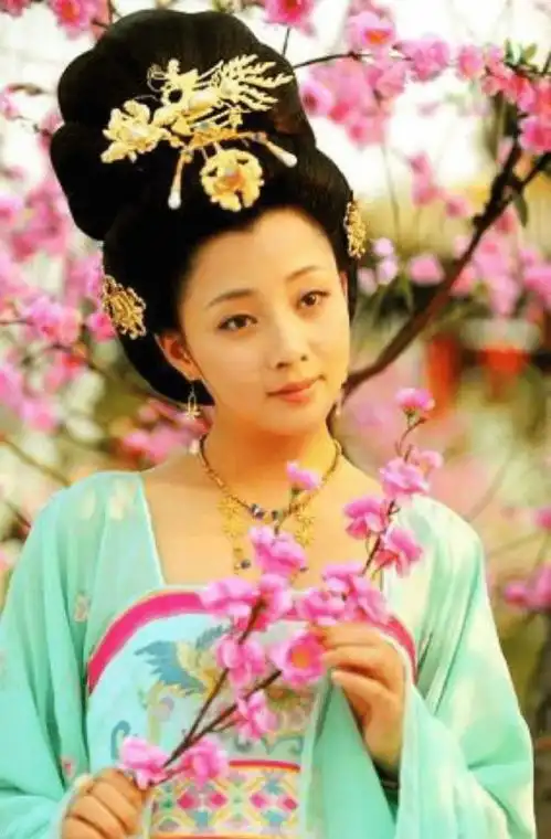 美中有善才貌双全的梅妃为何会输给二婚的杨贵妃
