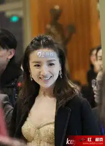 董洁电梯内遭壁咚新参演电视剧版权费高达13亿
