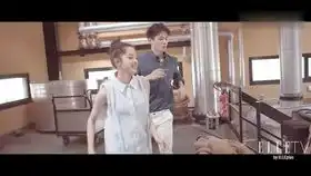 唐人街探案3秦风入狱剧情预告,王宝强刘昊然遇最大危机