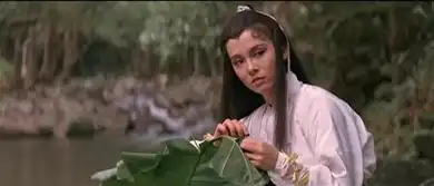 神雕姑姑小龙女李若彤刘亦菲多个版本你最喜欢那个
