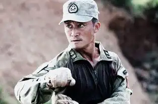 吴京出演的十部电影,部部燃爆,你喜欢哪部
