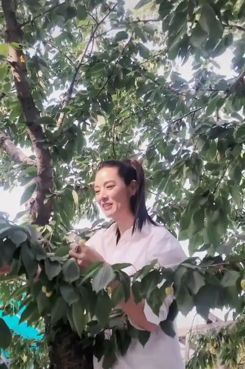 第一名模马艳丽近照出轨风波后,在豪宅别墅中摘大樱桃,现身价过亿

