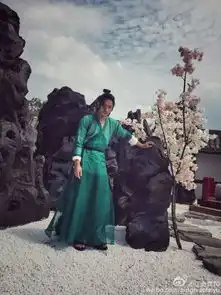 上过康熙,唱过仙剑奇侠传主题曲,却因为太子妃升职记的绿王红了
