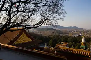 20130310颐和园北宫门