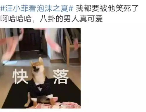 汪小菲爆笑吐槽泡沫之夏,幸福三重奏成圈粉现场