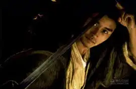 鑫乐邀您看片东邪西毒终极版insun