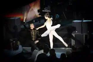 欢歌序曲喜迎新年爱乐之声奏响深大深圳大学2019年新年音乐会举行