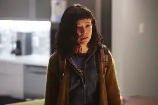 求黑色孤儿百度网盘全集
